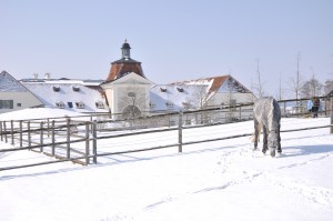 Gestüt Lindhof Winter
